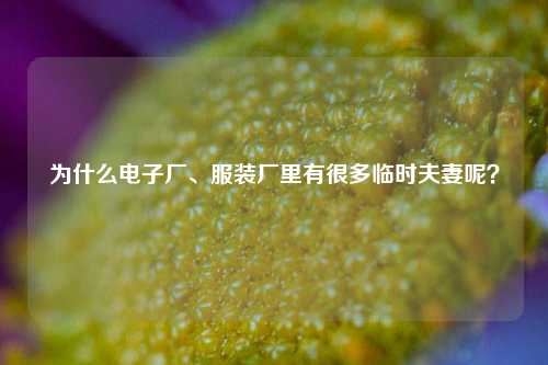 为什么电子厂、服装厂里有很多临时夫妻呢?-第1张图片-情感百科_恋爱技巧_男女网恋_恋爱攻略_婚姻资讯_婚内出轨_情感百科之家 为什么电子厂、服装厂里有很多临时夫妻呢?-第1张图片-情感百科_恋爱技巧_男女网恋_恋爱攻略_婚姻资讯_婚内出轨_情感百科之家