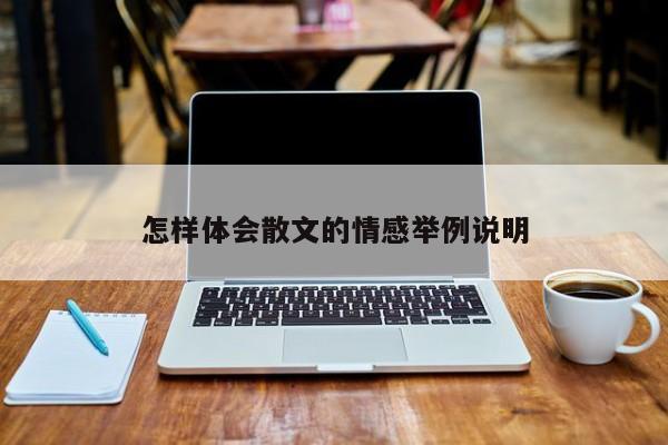 怎样体会散文的情感举例说明