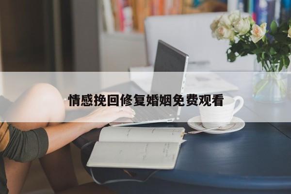 情感挽回修复婚姻免费观看
