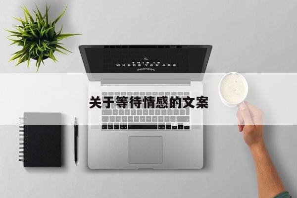 关于等待情感的文案