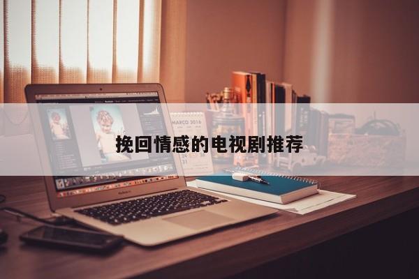挽回情感的电视剧推荐