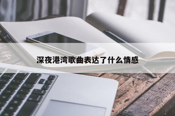 深夜港湾歌曲表达了什么情感