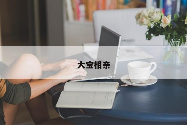 大宝相亲