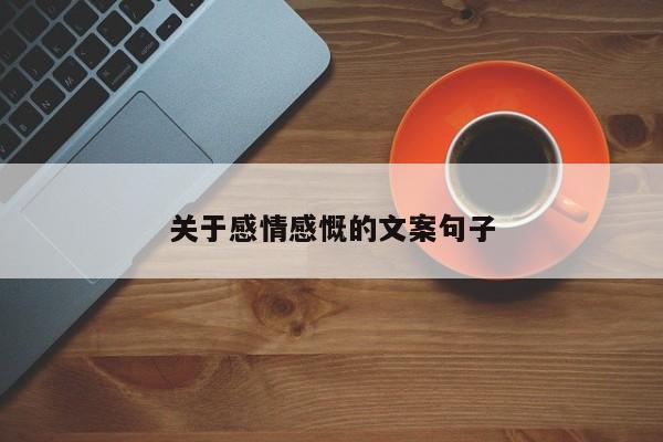 关于感情感慨的文案句子