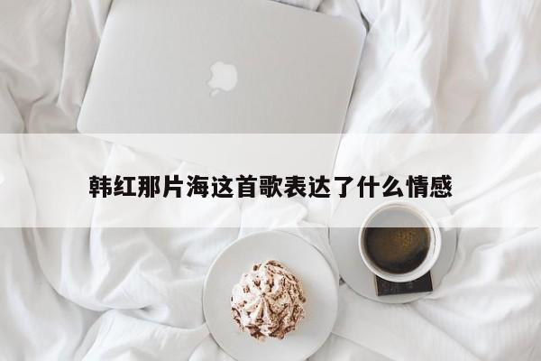 韩红那片海这首歌表达了什么情感