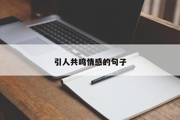 引人共鸣情感的句子