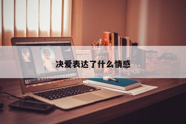 决爱表达了什么情感