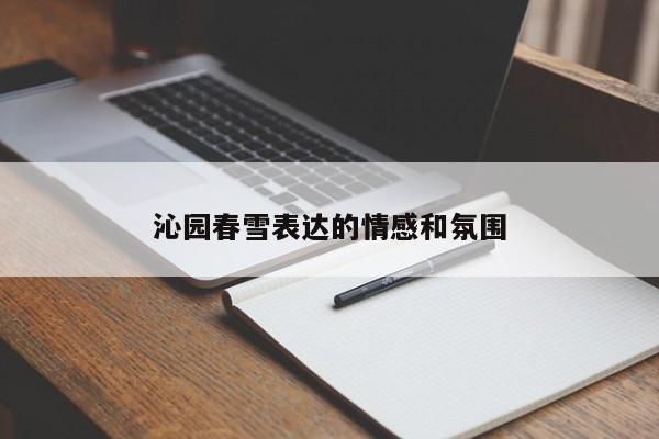 沁园春雪表达的情感和氛围