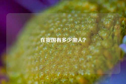 在我国有多少黑人?-第1张图片-情感百科_恋爱技巧_男女网恋_恋爱攻略_婚姻资讯_婚内出轨_情感百科之家 在我国有多少黑人?-第1张图片-情感百科_恋爱技巧_男女网恋_恋爱攻略_婚姻资讯_婚内出轨_情感百科之家
