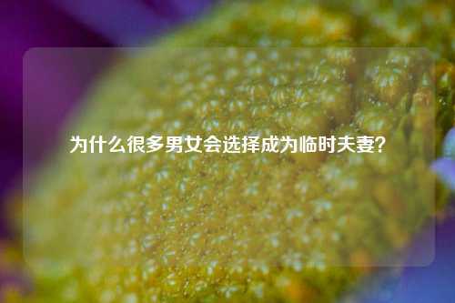 为什么很多男女会选择成为临时夫妻?-第1张图片-情感百科_恋爱技巧_男女网恋_恋爱攻略_婚姻资讯_婚内出轨_情感百科之家 为什么很多男女会选择成为临时夫妻?-第1张图片-情感百科_恋爱技巧_男女网恋_恋爱攻略_婚姻资讯_婚内出轨_情感百科之家