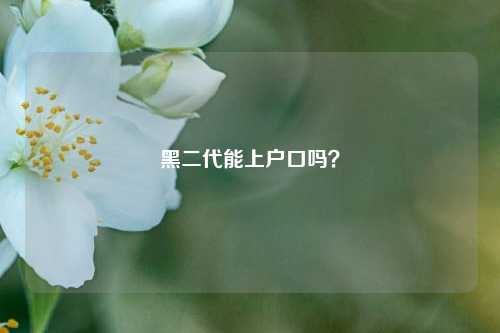 黑二代能上户口吗?-第1张图片-情感百科_恋爱技巧_男女网恋_恋爱攻略_婚姻资讯_婚内出轨_情感百科之家 黑二代能上户口吗?-第1张图片-情感百科_恋爱技巧_男女网恋_恋爱攻略_婚姻资讯_婚内出轨_情感百科之家
