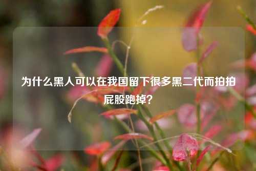 为什么黑人可以在我国留下很多黑二代而拍拍屁股跑掉?-第1张图片-情感百科_恋爱技巧_男女网恋_恋爱攻略_婚姻资讯_婚内出轨_情感百科之家 为什么黑人可以在我国留下很多黑二代而拍拍屁股跑掉?-第1张图片-情感百科_恋爱技巧_男女网恋_恋爱攻略_婚姻资讯_婚内出轨_情感百科之家