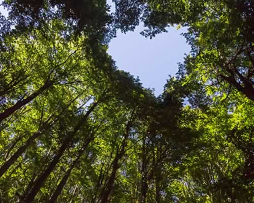 遭遇背叛后，痛苦是因为还爱着对方吗？_情感