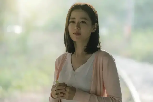 《离婚冷静期手册》NO.23丨离婚为什么要体面？这是我见过的最好答案_情感