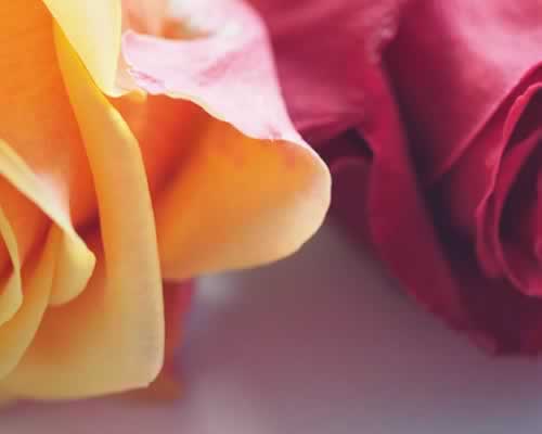 男人爱你入骨，才会有这3种表现，不爱绝对装不出来?_情感