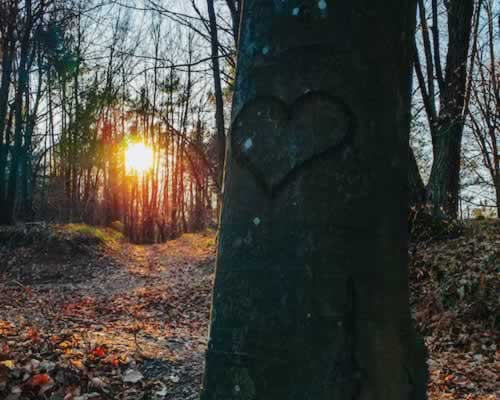 “太在意”真的会毁掉一段关系，关系里需要松弛感！_情感