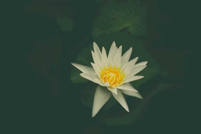 一个人真正变得厉害，从独来独往开始_情感