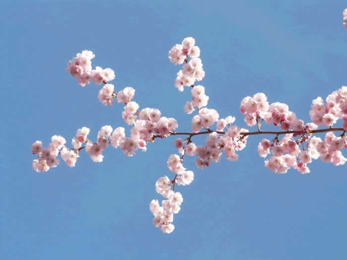 高情商母亲提醒儿子：有三种女人，长得再漂亮，也不能娶_情感