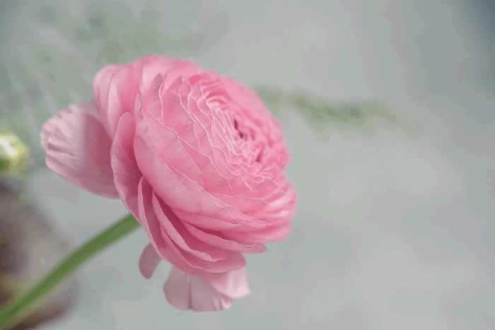 无论夫妻还是情人，以下三句话都不能随便说，很容易缘尽_情感