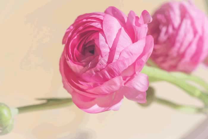 无论夫妻还是情人，以下三句话都不能随便说，很容易缘尽_情感
