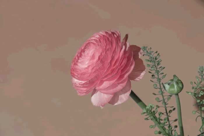 无论夫妻还是情人，以下三句话都不能随便说，很容易缘尽_情感