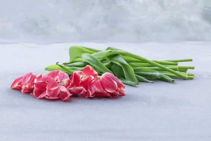 真正幸福的女人，大多看清了这3个婚姻真相，难怪生活越来越好_情感