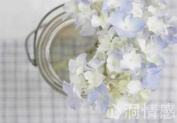 夫妻之间经常吵架怎么和好?和老公吵架后该怎么办_情感