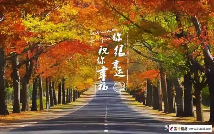 为什么身边那么多婚姻家庭都不幸福?_情感