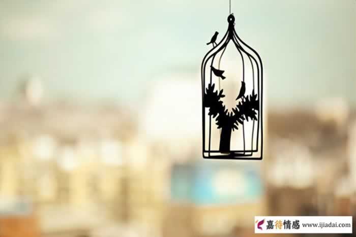 婆婆好不好就看这三点 好婆婆的判断标准_情感