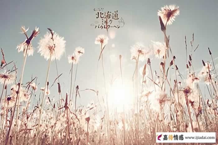 婆婆好不好就看这三点 好婆婆的判断标准_情感