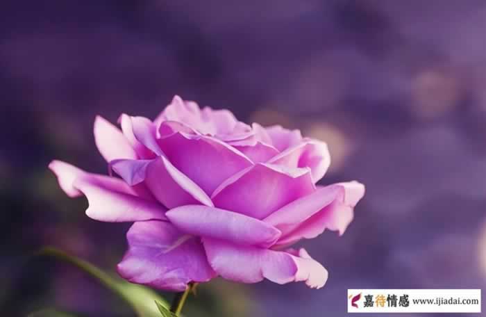 无性婚姻男人的想法,无性婚姻能长久吗?_情感