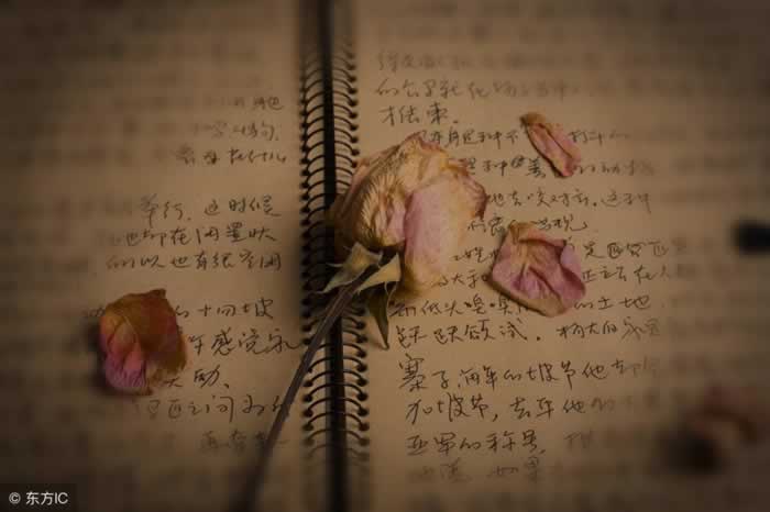挽回的你，要学会在感情中做一个拎得清的女人_情感