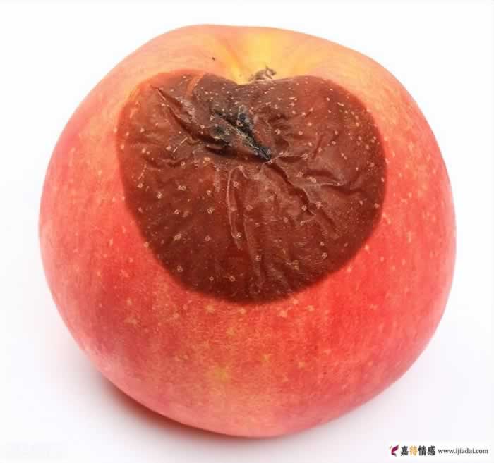 出轨的婚姻要如何保鲜？_情感