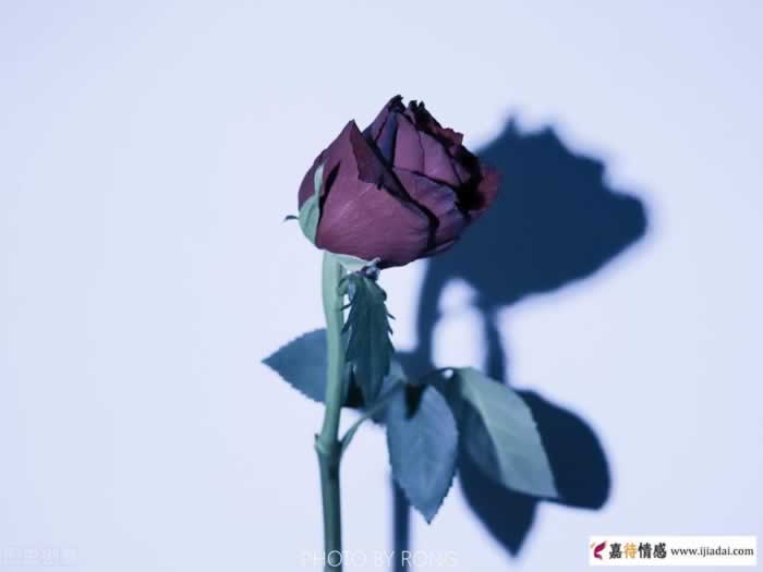 中晚年幸福婚姻｜老夫老妻要如何相爱，才不需要假装相爱_情感