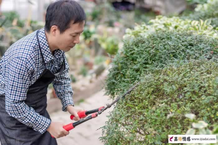 男人到了中年，要学会活得“卑微”一点_情感