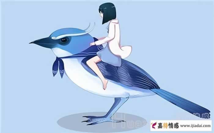 怀疑老婆出轨我该怎么办_情感