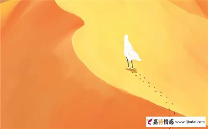 80后婚内出轨调查：70%婚外情与网络有关_情感