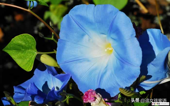 老婆太物质了还有挽回的必要吗?告诉你答案!_情感