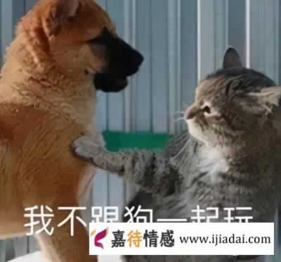 最容易聊出感情的10个话题 小心女生让你负责_情感