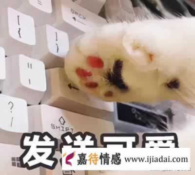 最容易聊出感情的10个话题 小心女生让你负责_情感