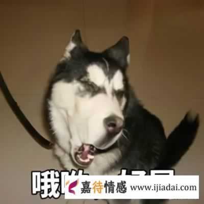 和陌生女孩聊天话题 帮你避雷增加好感度_情感