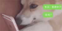 晚上找女生聊天话题 看似简单实则套路深_情感
