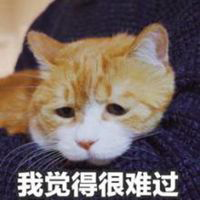 一段时间没和女生聊 怎么开场才不会生疏?_情感