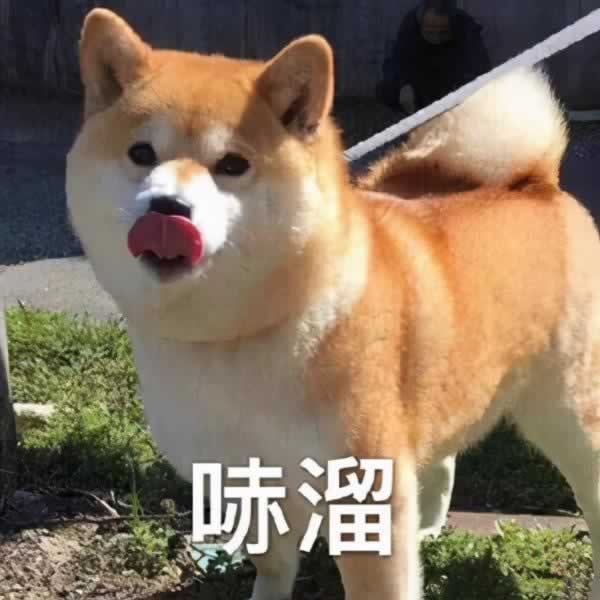让女生无法拒绝的开场白 屡试不爽百发百中_情感