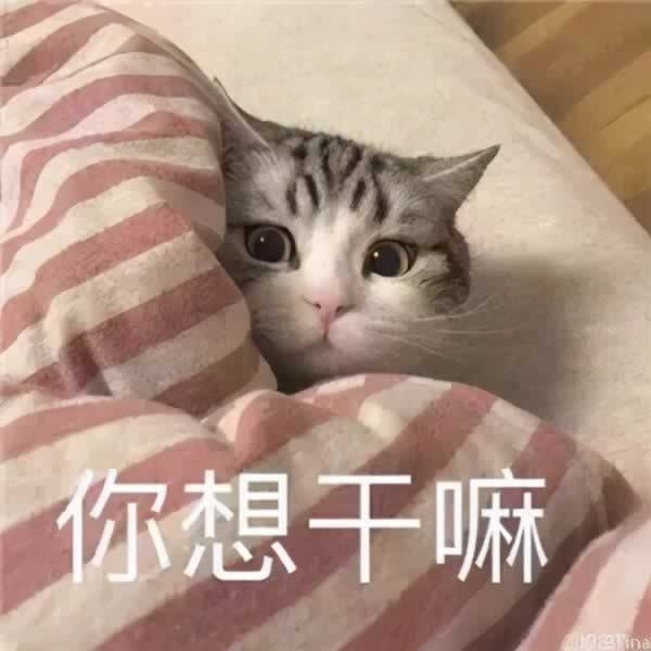 让女生无法拒绝的开场白 屡试不爽百发百中_情感