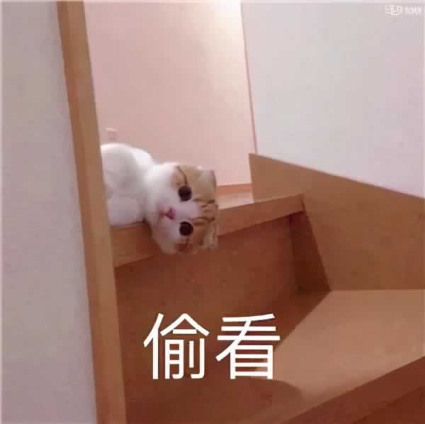 让女生无法拒绝的开场白 屡试不爽百发百中_情感