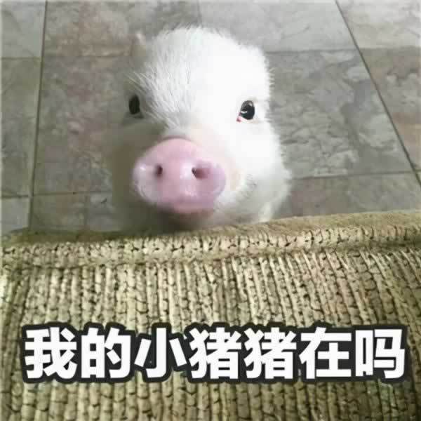 让女生无法拒绝的开场白 屡试不爽百发百中_情感