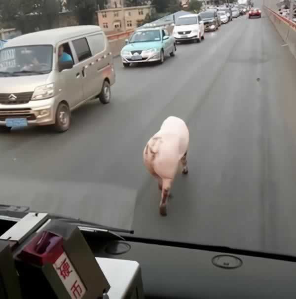 10个压箱底的撩妹套路,撩完之后,她会对你又爱又恨_情感