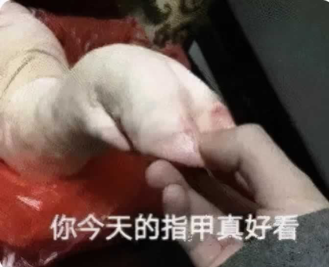 10个压箱底的撩妹套路,撩完之后,她会对你又爱又恨_情感