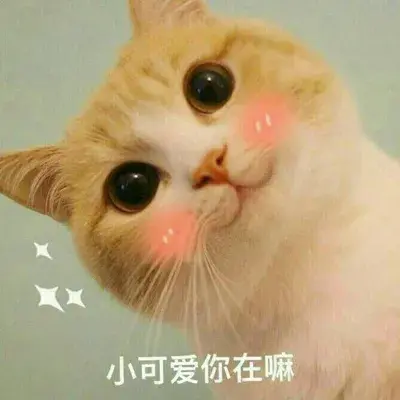 刚加了女生微信如何开场？这套表情包轻松搞定她_情感